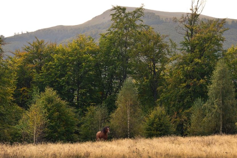  - Sfarsit de septembrie