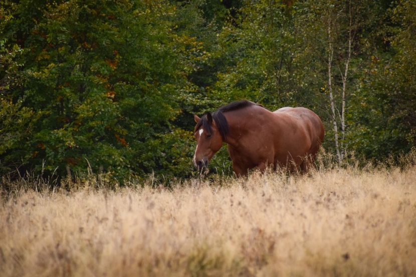  - Sfarsit de septembrie