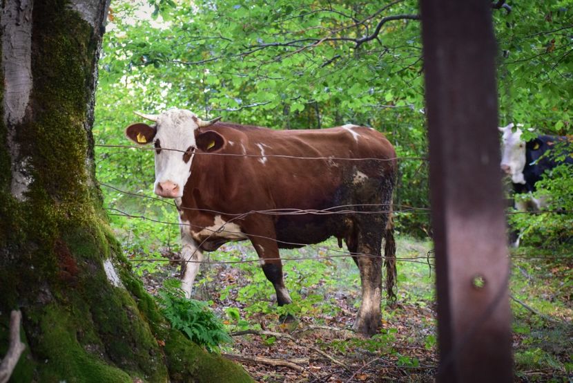  - Sfarsit de septembrie