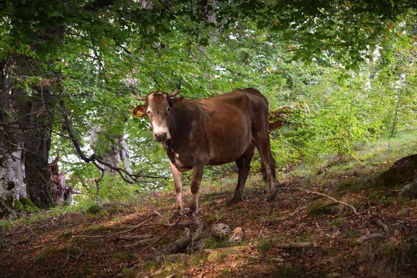  - Sfarsit de septembrie