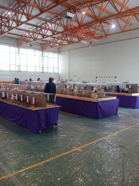  - Expoziție Moșnița Nouă Timiș