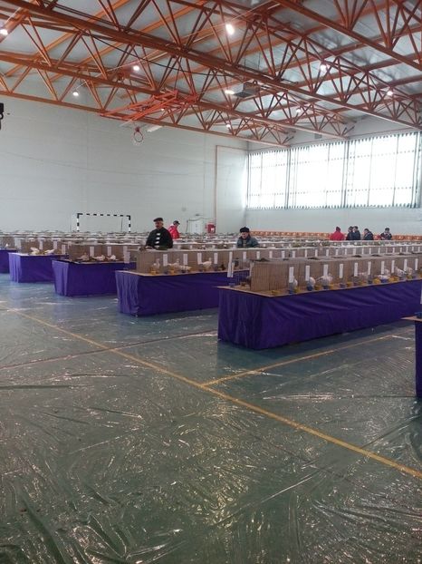  - Expoziție Moșnița Nouă Timiș