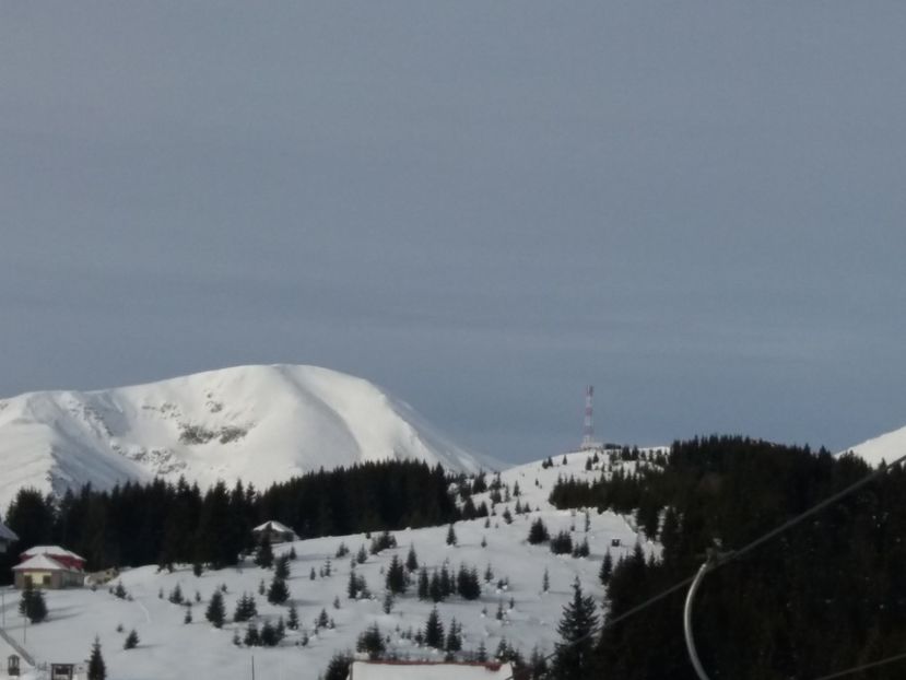  - Rânca IANUARIE 2019