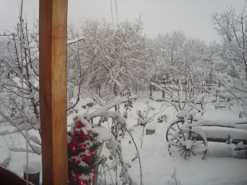  - iarna 2018 spre 2019