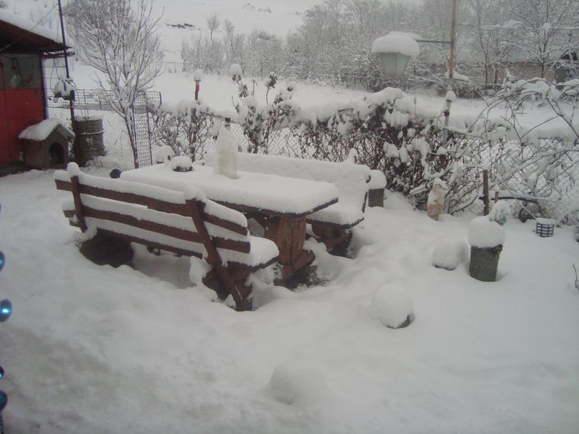  - iarna 2018 spre 2019