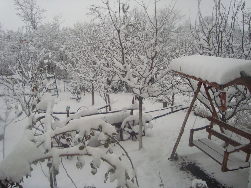  - iarna 2018 spre 2019