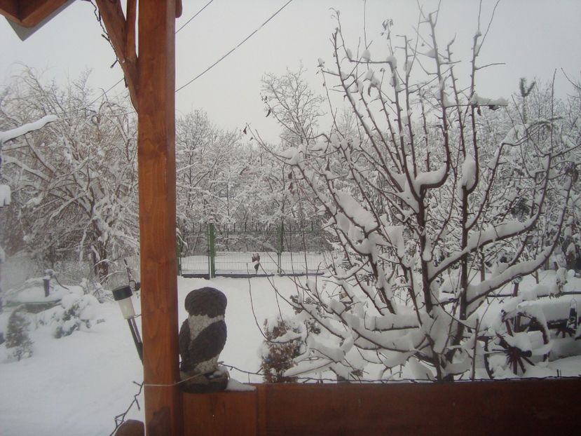  - iarna 2018 spre 2019