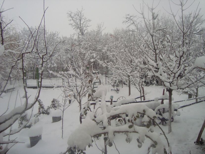  - iarna 2018 spre 2019