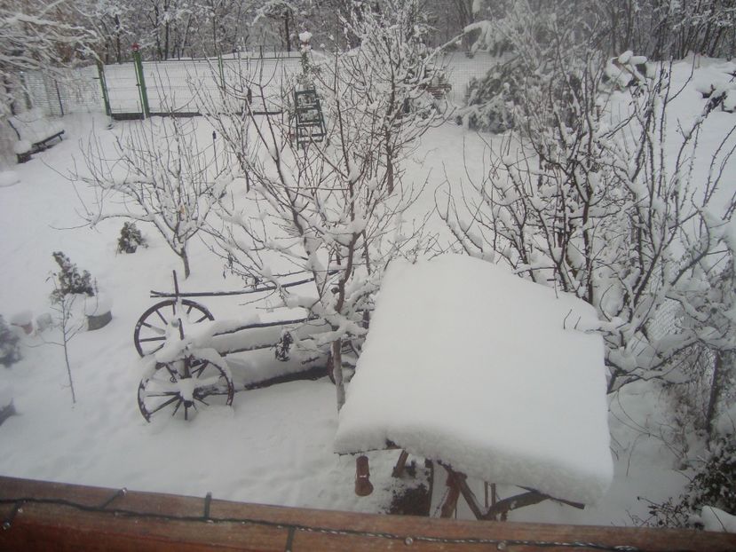  - iarna 2018 spre 2019