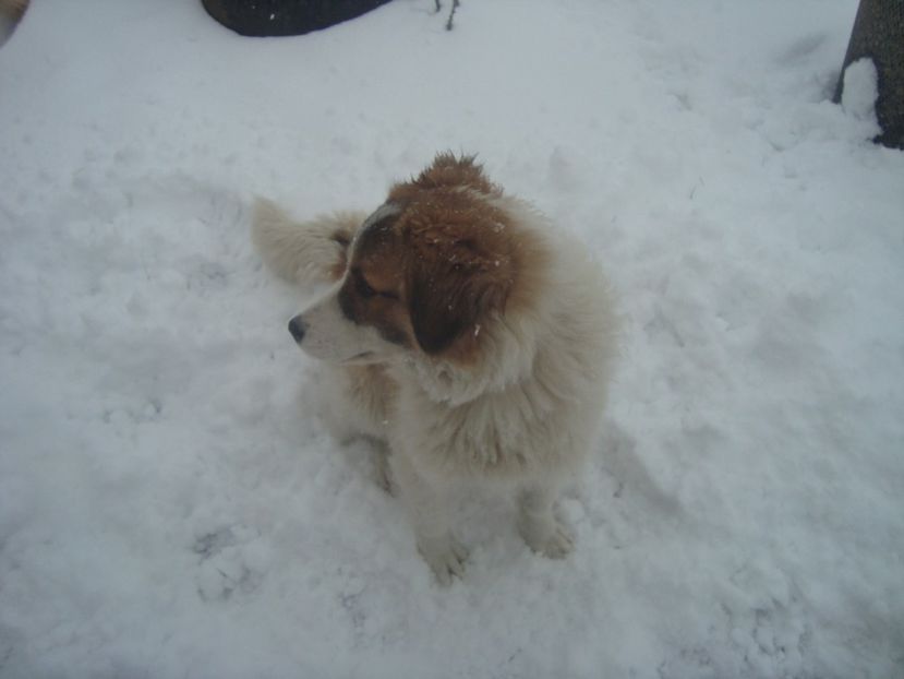  - RIP Athos