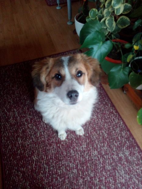  - RIP Athos