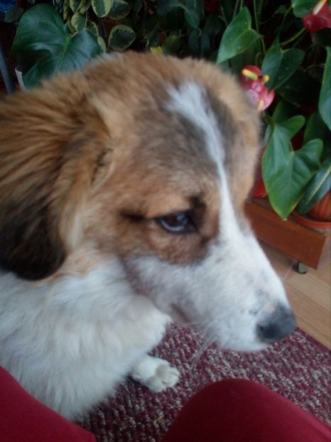  - RIP Athos