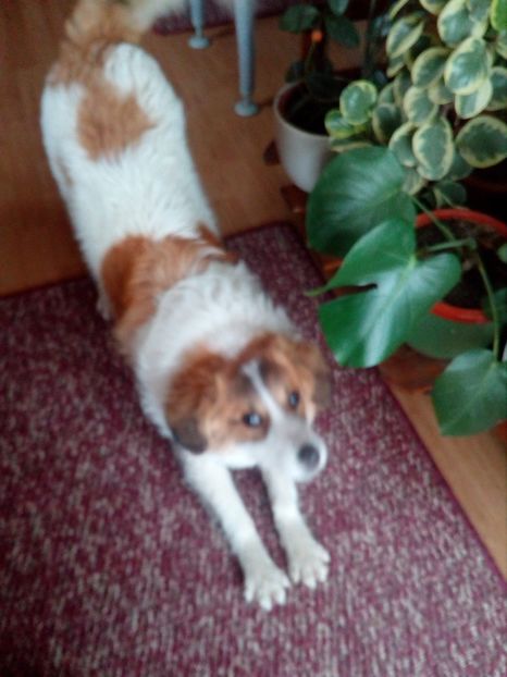  - RIP Athos