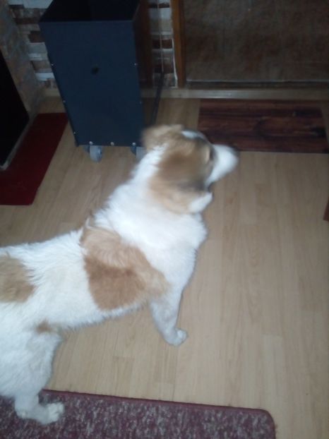  - RIP Athos