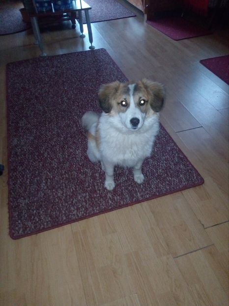  - RIP Athos