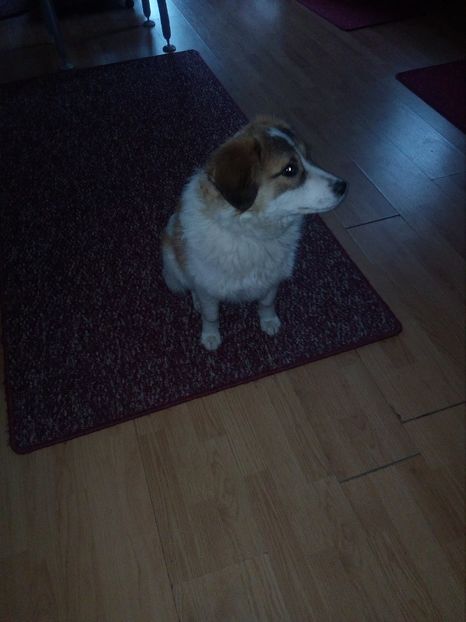  - RIP Athos