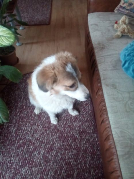  - RIP Athos