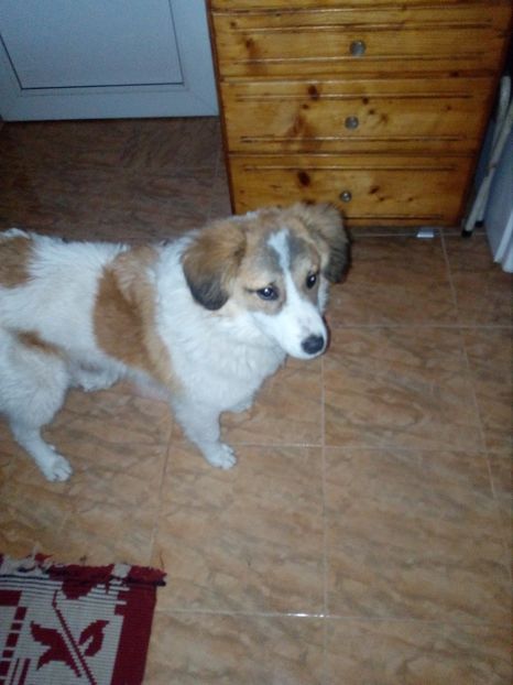  - RIP Athos