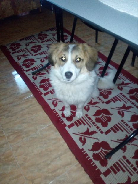  - RIP Athos