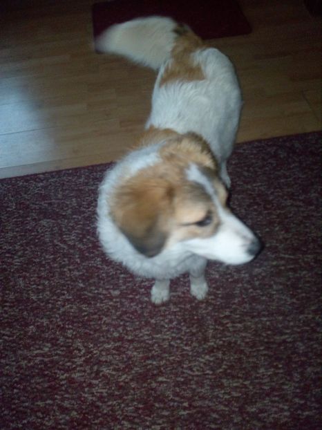  - RIP Athos