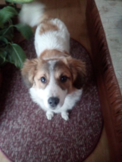  - RIP Athos