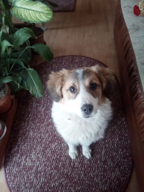  - RIP Athos