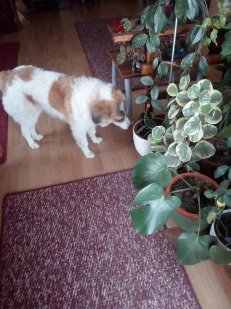  - RIP Athos