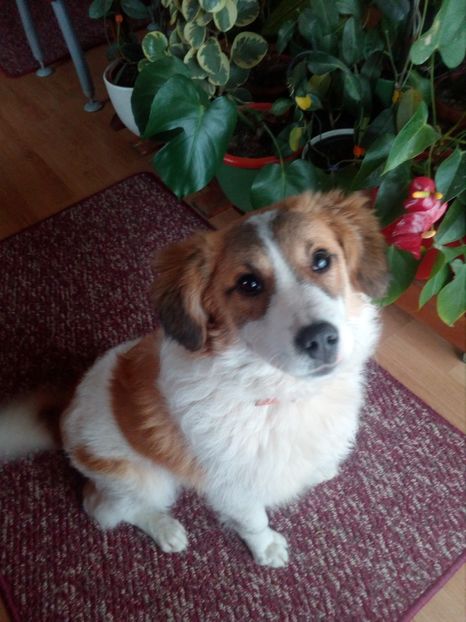  - RIP Athos