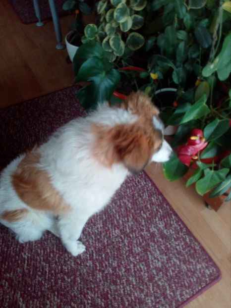  - RIP Athos