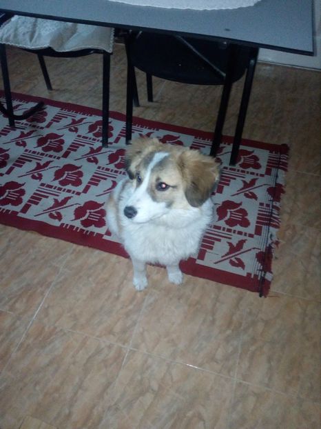  - RIP Athos