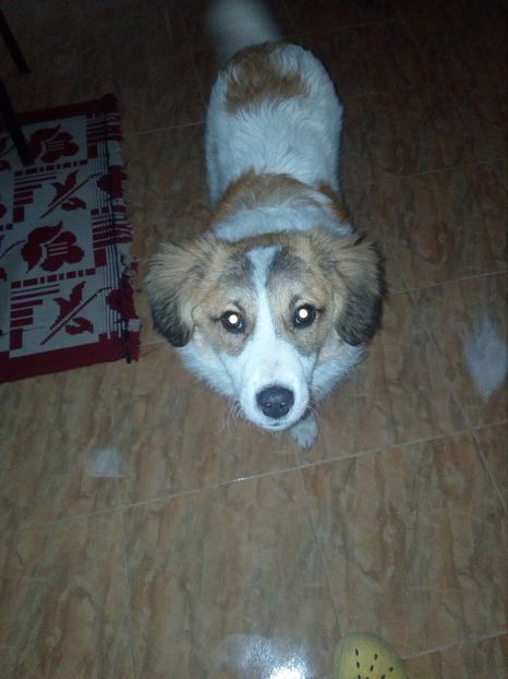  - RIP Athos
