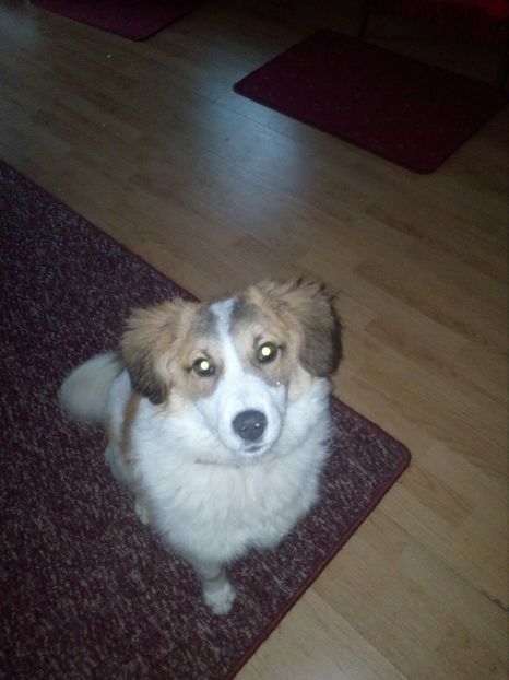  - RIP Athos