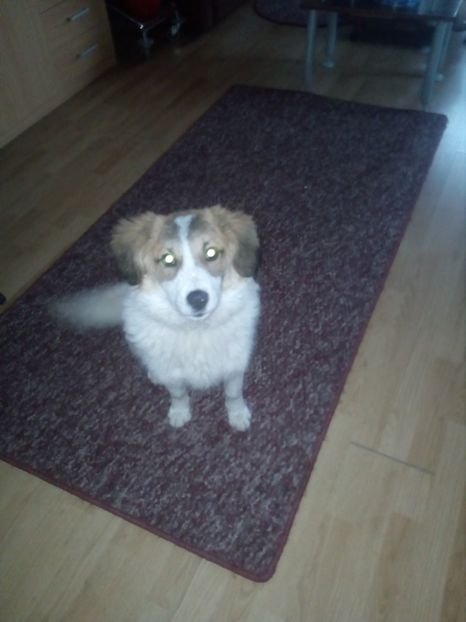  - RIP Athos