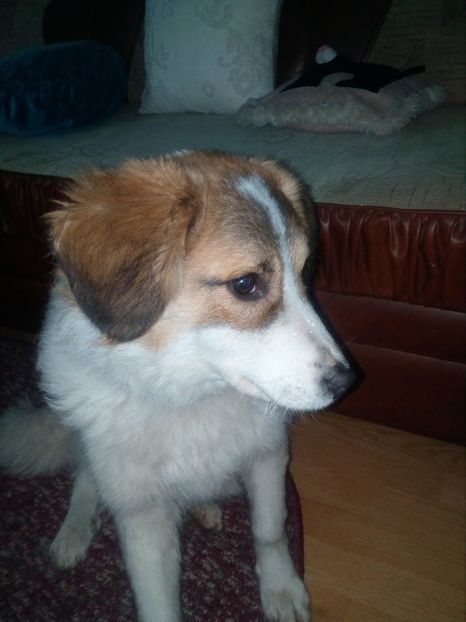  - RIP Athos