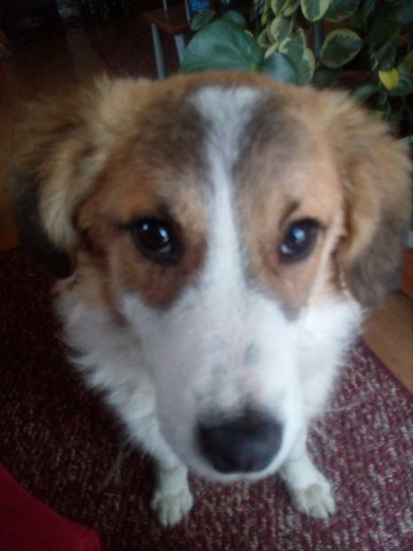  - RIP Athos