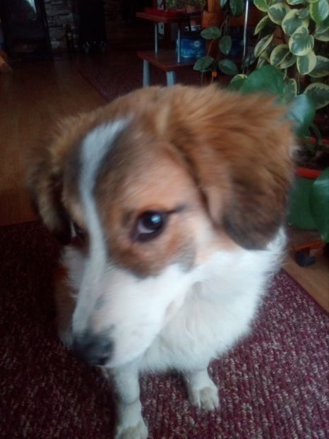  - RIP Athos