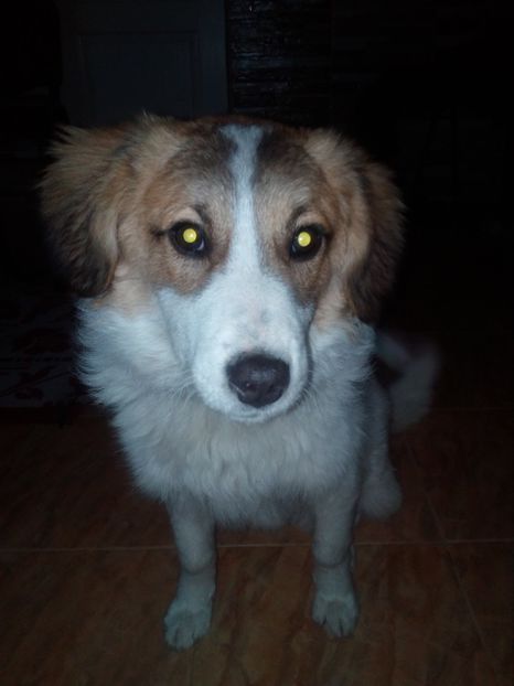  - RIP Athos
