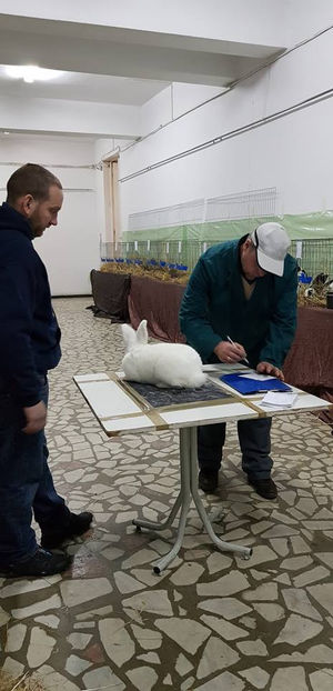 Sandor Brugger - Expo Arges 2019