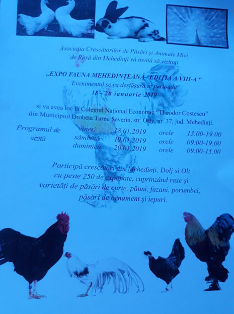  - Expo MEHEDINTI 2019