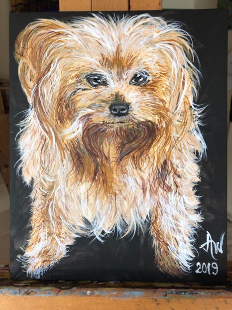 febr. 2019 - Laura Radu - 0 PICTURILE MELE