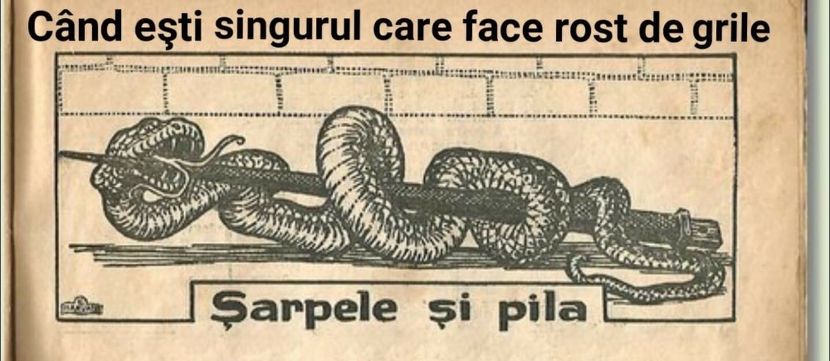 AC33FE0D-49E5-4574-AC0A-B1EBD4E6123E - v sacral plexus