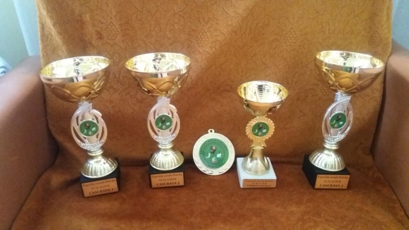 Cateva recompense - Expo Bistrita dec 2018