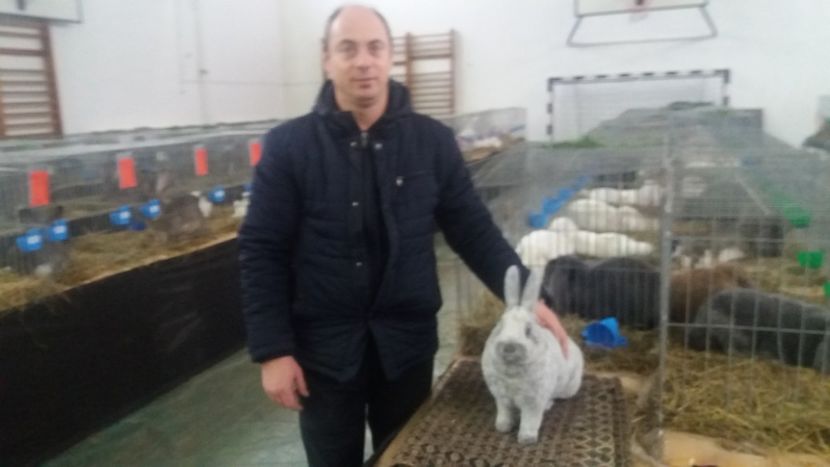 O femela favorita 96.5 pct - Expo Bistrita dec 2018