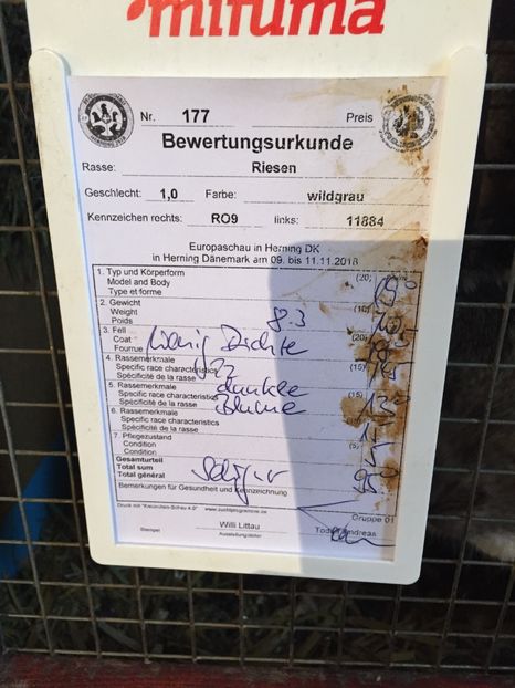 89A4C414-1323-45C7-9682-570C71184C2B - A DE VANZARE