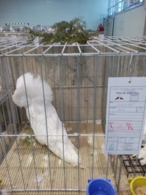  - Expoziție Moșnița Nouă Timiș