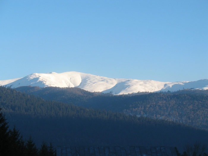peisaje-in-muntii-busteni - Winter-Iarna