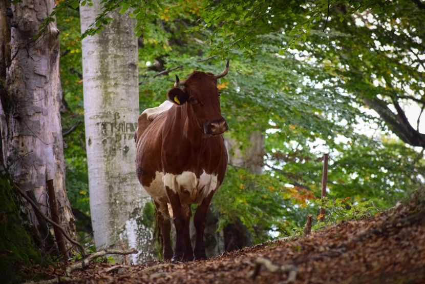  - Sfarsit de septembrie