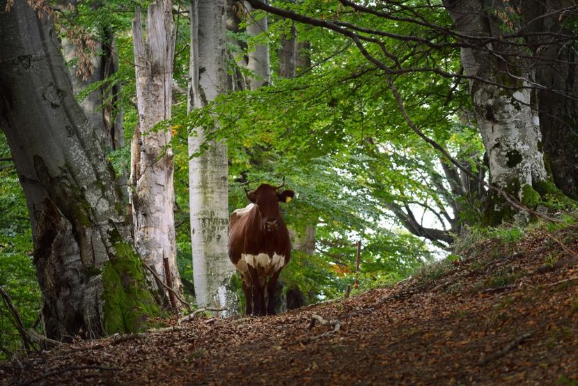  - Sfarsit de septembrie