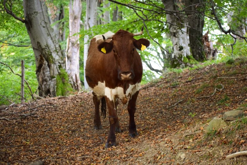  - Sfarsit de septembrie