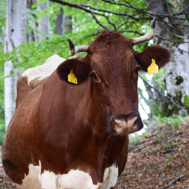  - Sfarsit de septembrie